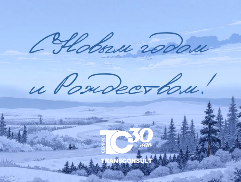 Команда Трансконсалт Сервис поздравляет с наступающим Новым годом и Рождеством!